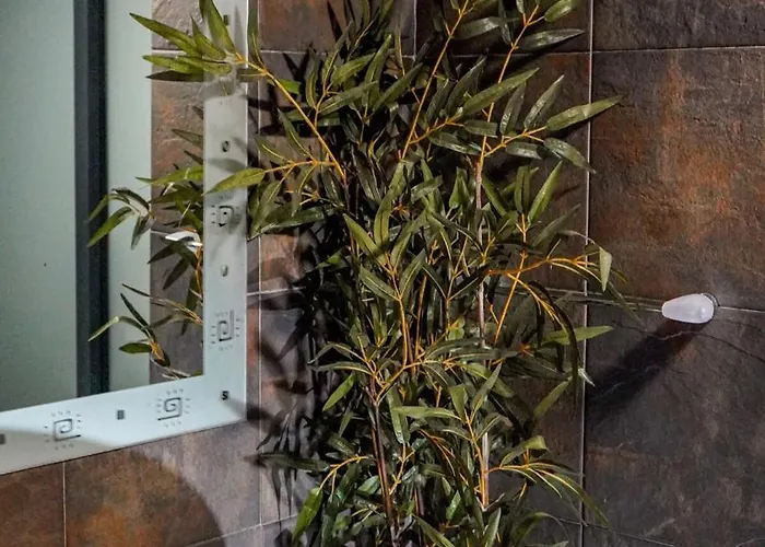 Refugio Do Norte * Porto Moniz